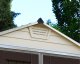 SkyLight 6 ft. W x 8 ft. D Plastic Storage Shed